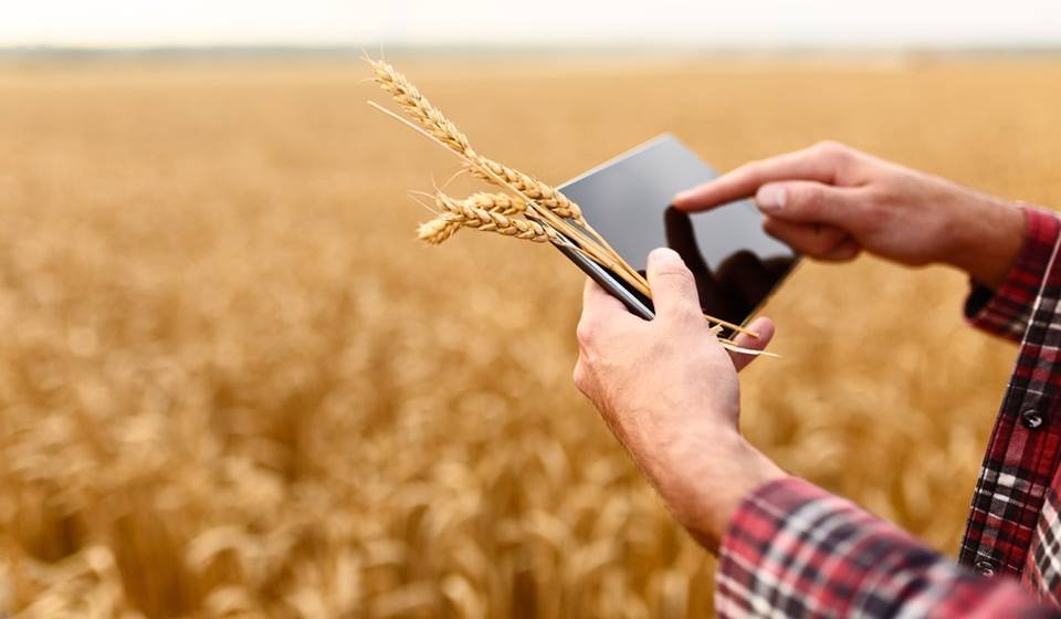 Samsung Electronics Will Focus On Smart Agriculture With 5G Tech