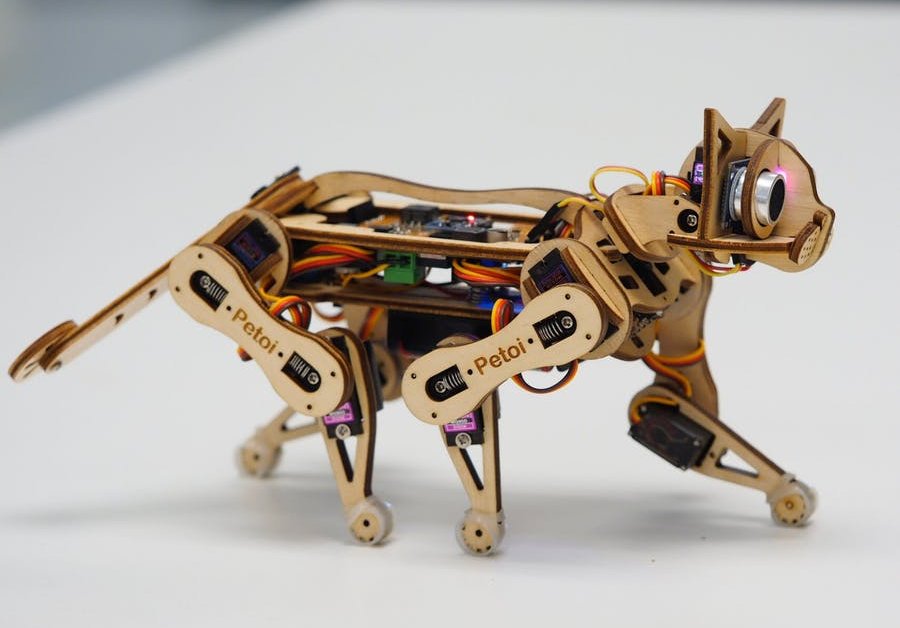 Nybble The Cute Robotic Cat For CatLover And Coder In The Future