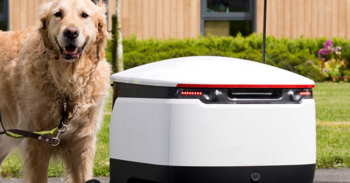 Dogs Respond More Positively Than Humans To Autonomous Robots