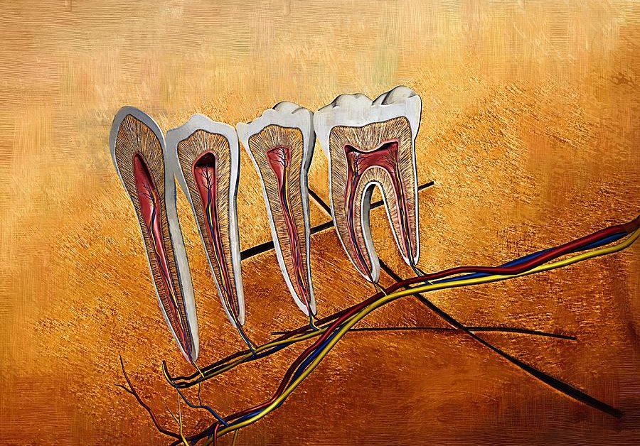 How AI Will Innovate Dentistry