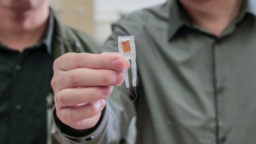 This Neural Implant Smaller Than 1cm Will Help You Lose Weight