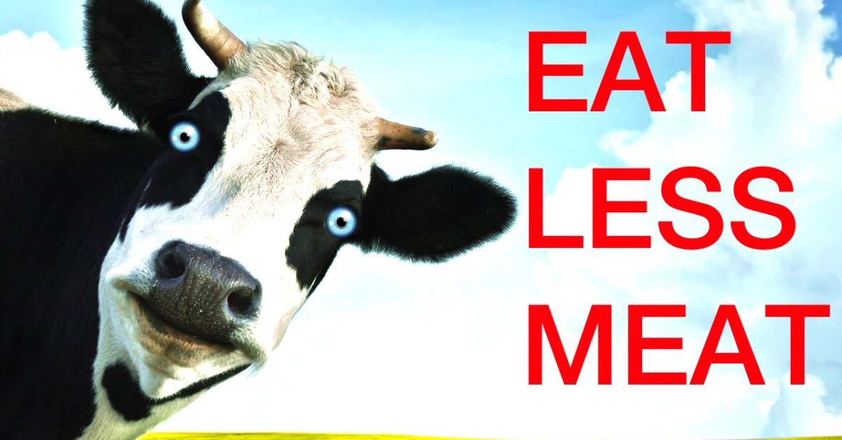 Scientists Say Eating Less Meat Is The Best You Can Do To Maintain The Earth