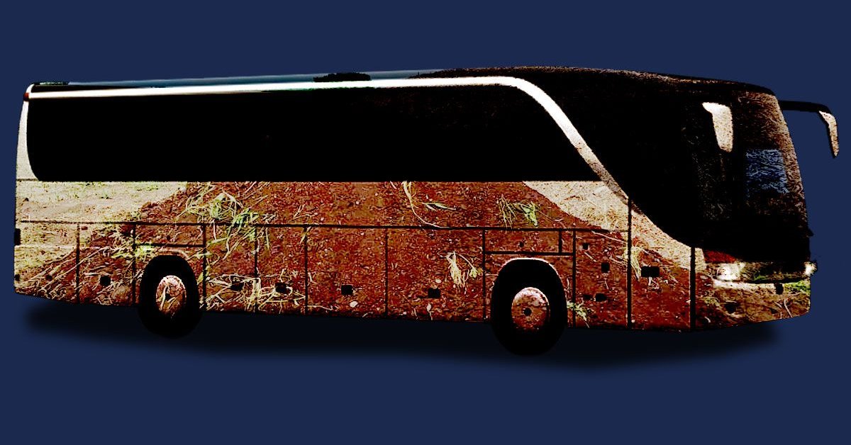 A Pakistani City Will Launch A Network Of Transportation Powered By Cow Manure