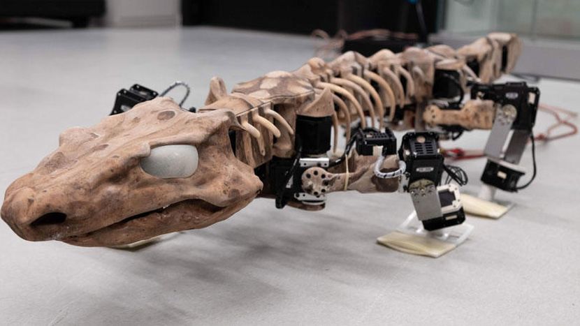 This Lizard-Like Robot Shows How Orobates Walked 280 Million Years Ago