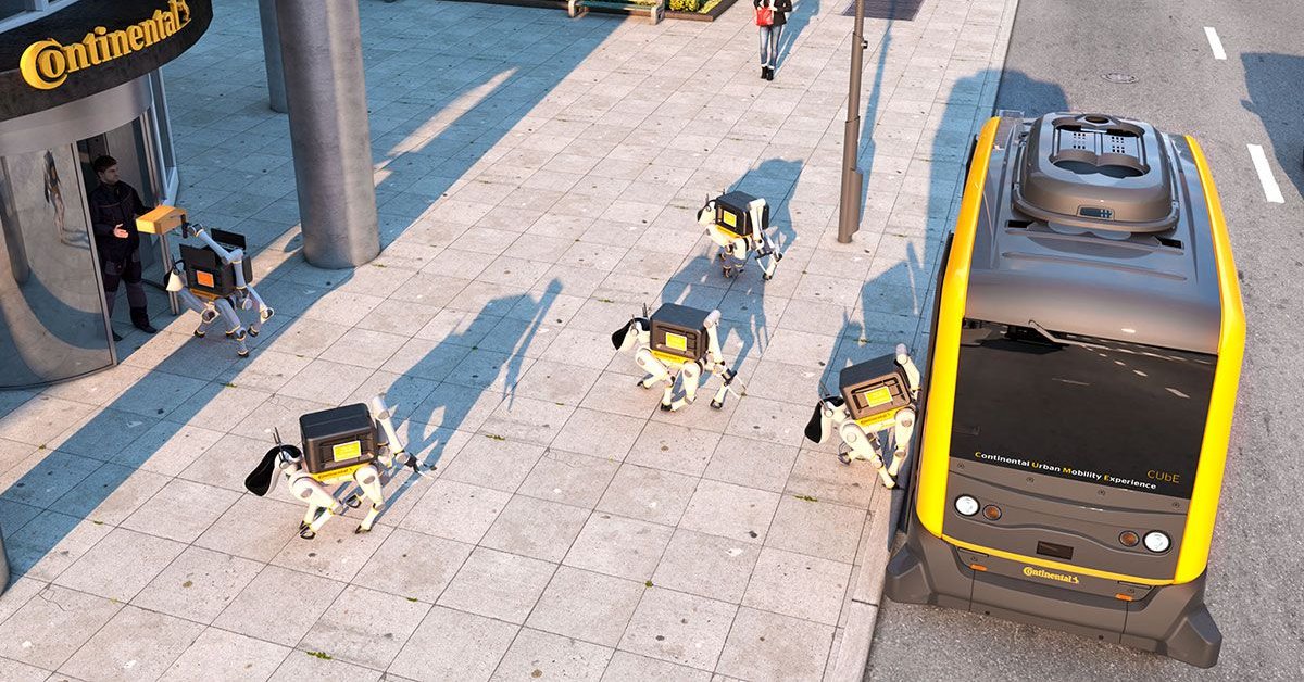 Incredible Robot Dogs To Offer A Home Delivery Service