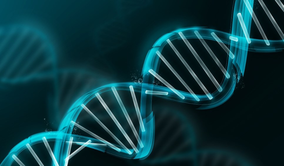 US Company Ceases Selling DNA Collecting Equipment To China