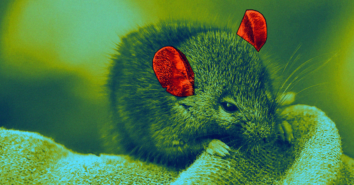 Scientists Used Gene Therapy To Cure Deafness In Mice