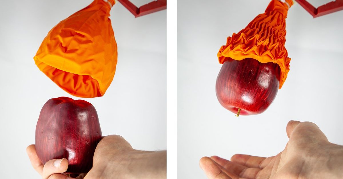 Delicate-Looking Robot Gripper Can Lift 100 Times Its Weight