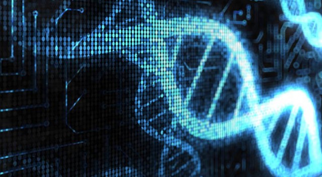 Scientists Turned A Human Cell Into A Biological Computer Using CRISPR