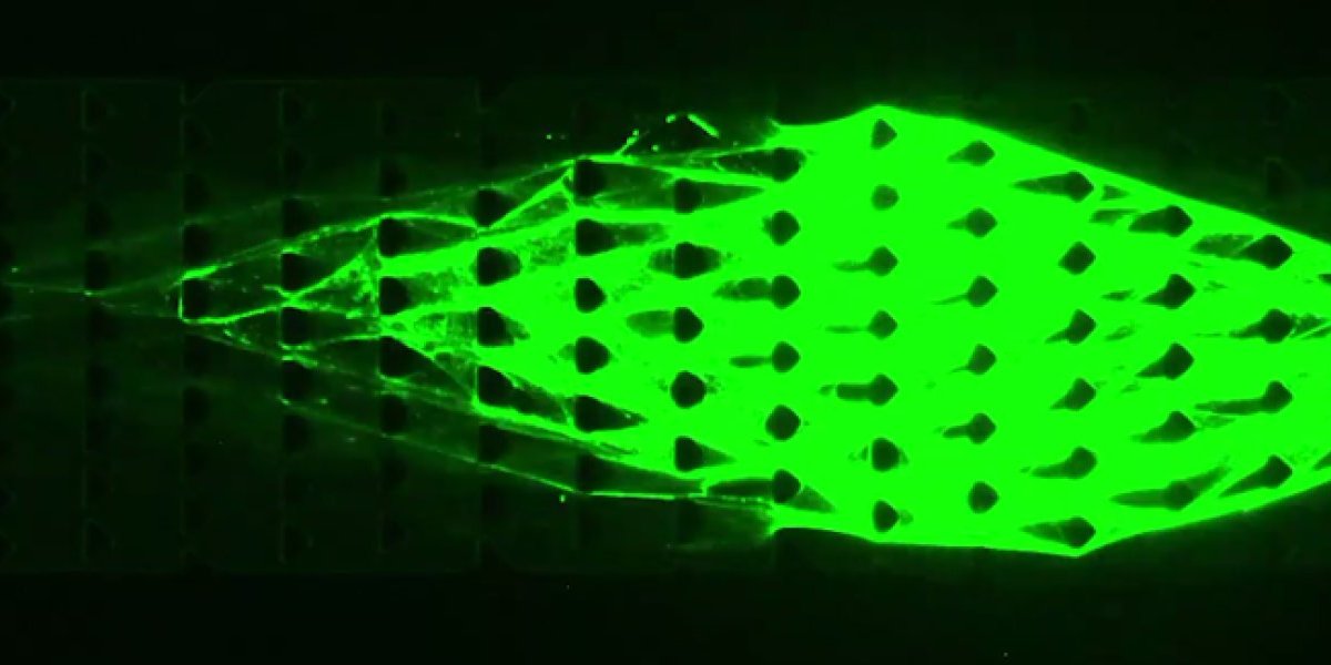 Cornell University Make A Robot That Can Eat And Grow