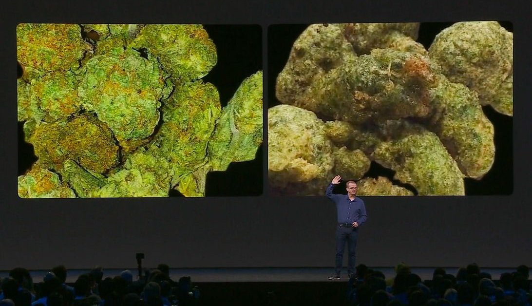 Marijuana or Broccoli? Facebook Demonstrates AI's Challenges With An Example