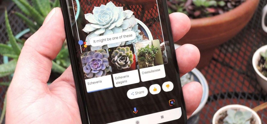 Google Lens Will Help You In Dining, Shopping And Translation ...