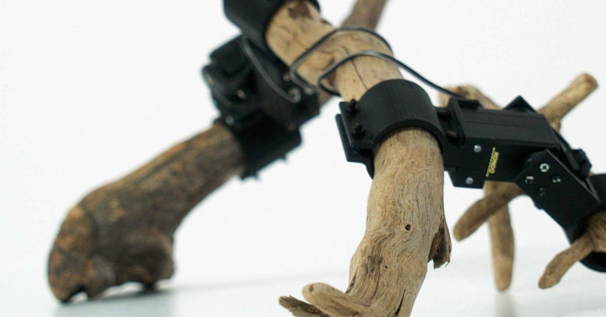This Robot Learned To Move On Its Own Despite Being Built From Random Sticks
