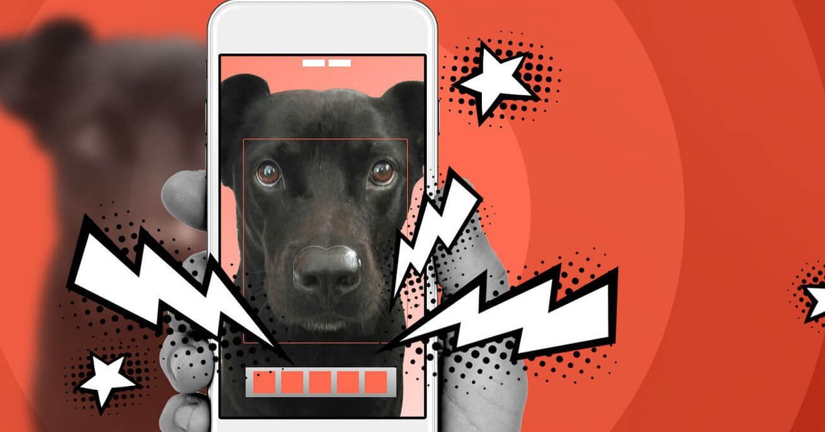 this-app-can-find-lost-dogs-by-using-facial-recognition-mobygeek