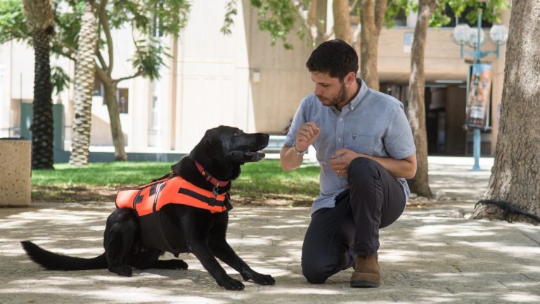 This Haptic Vest Helps Us Control Dogs Remotely And Quickly