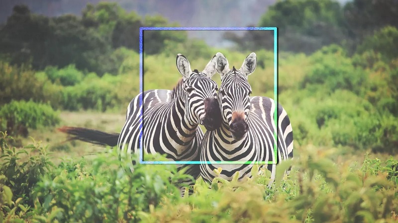 Indian Student Develops An AI For Finding And Saving Endangered Animals