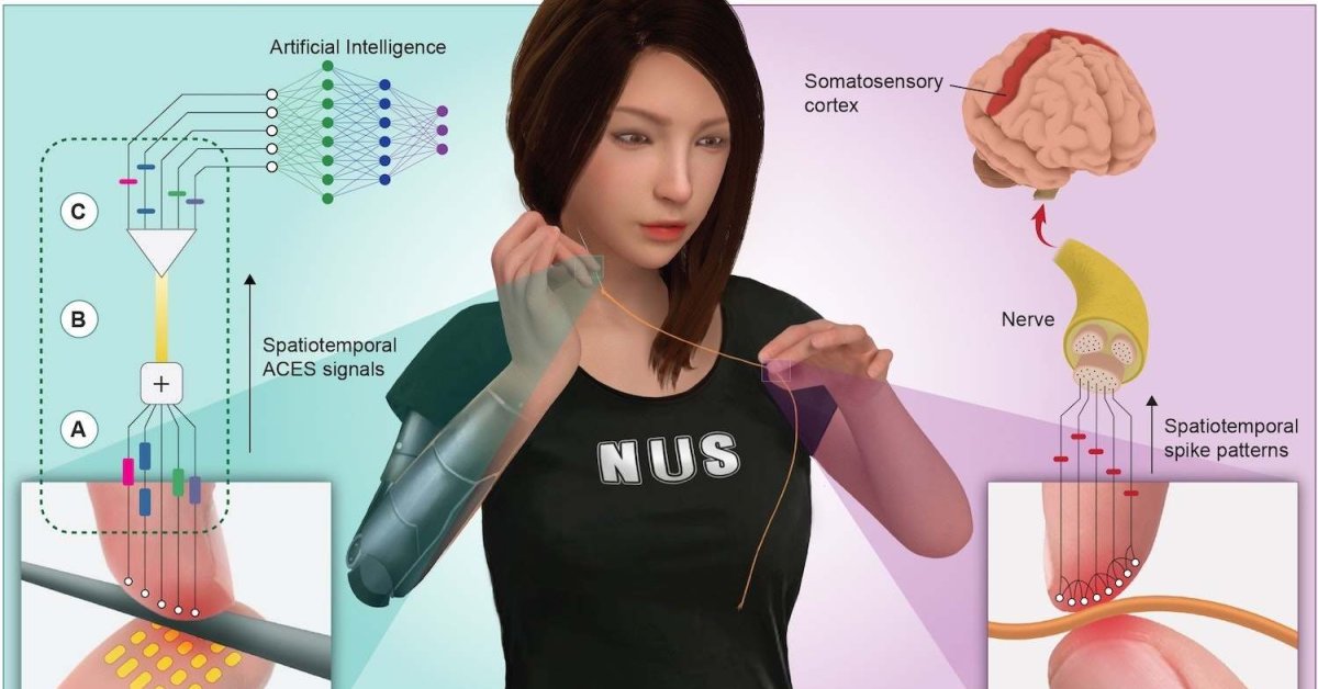 Scientists Have Created Robo-Skin Mimicking Human Neuro Architecture