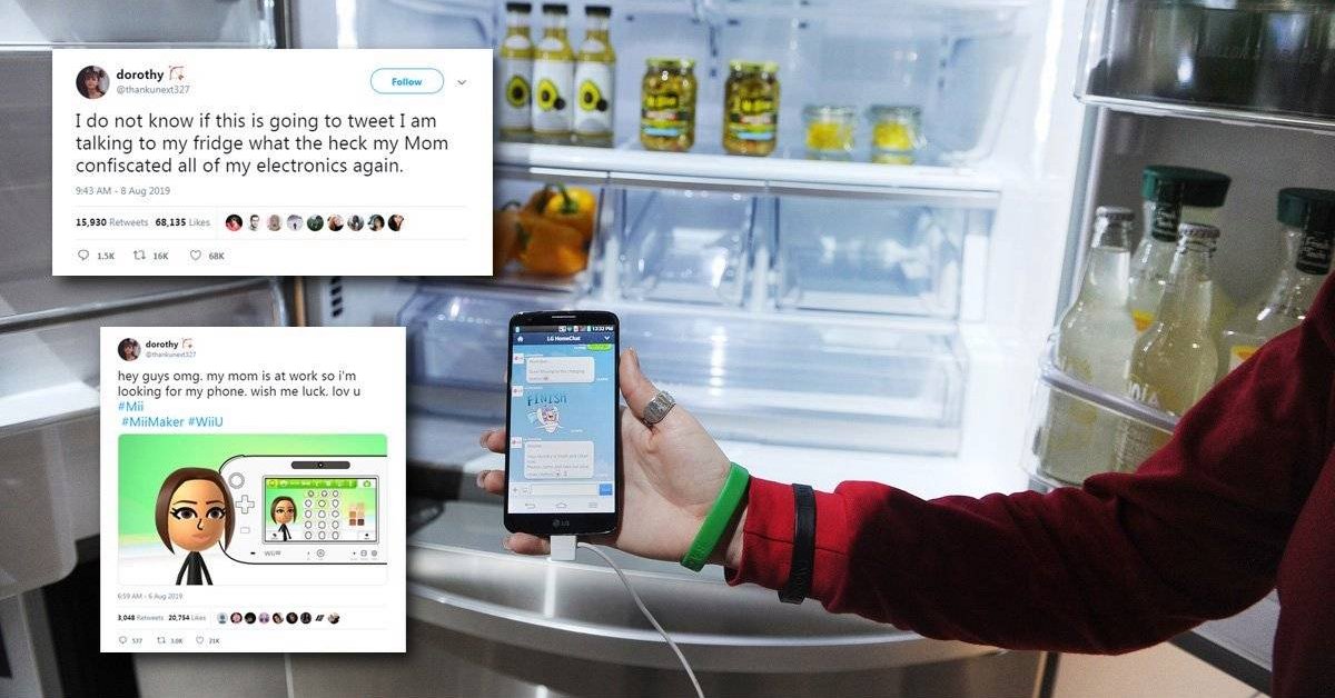 Being Taken Away Smartphone By Mom, This Teenager Uses A Smart Fridge Instead To Log In Twitter