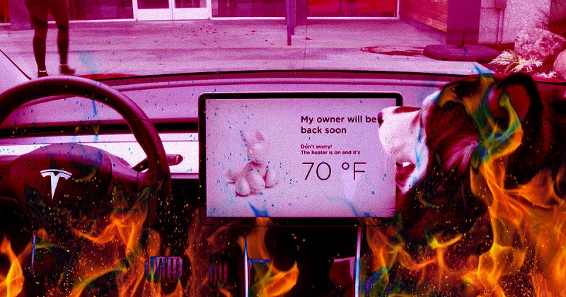Serious Flaw In Tesla's 'Dog Mode' Has Been Fixed