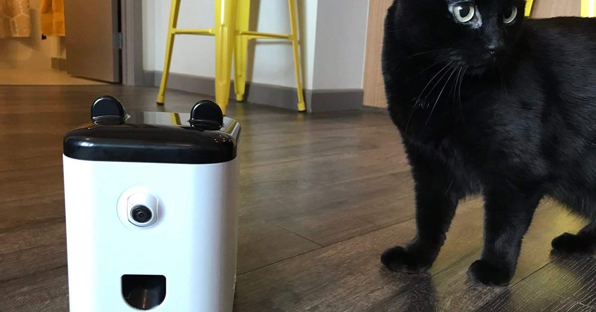 The Robot Helps You Monitor And Play With Pets From A Remote Location