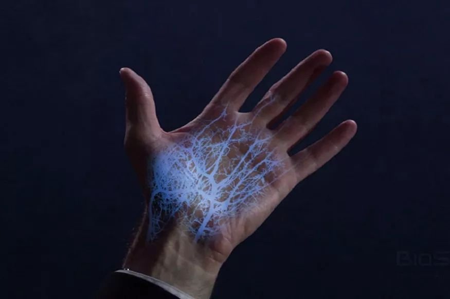 This Identification System Uses Human Hand’s Veins And Is More Accurate Than Face ID