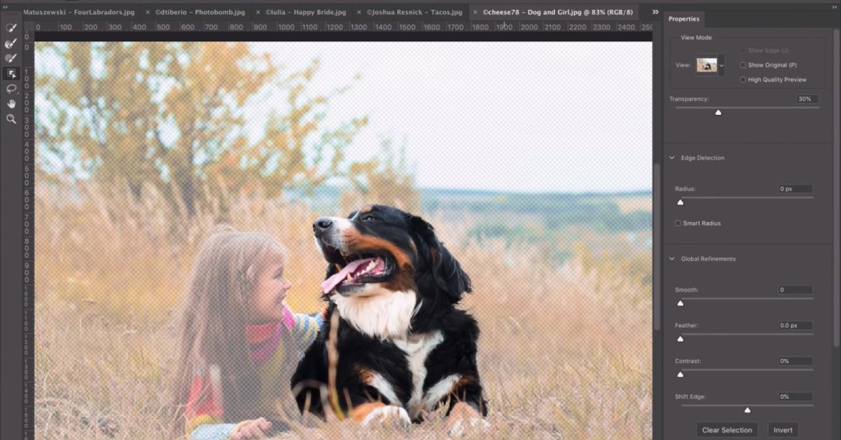 Adobe Photoshop's New AI Tool Can Isolate Complex Objects Quickly