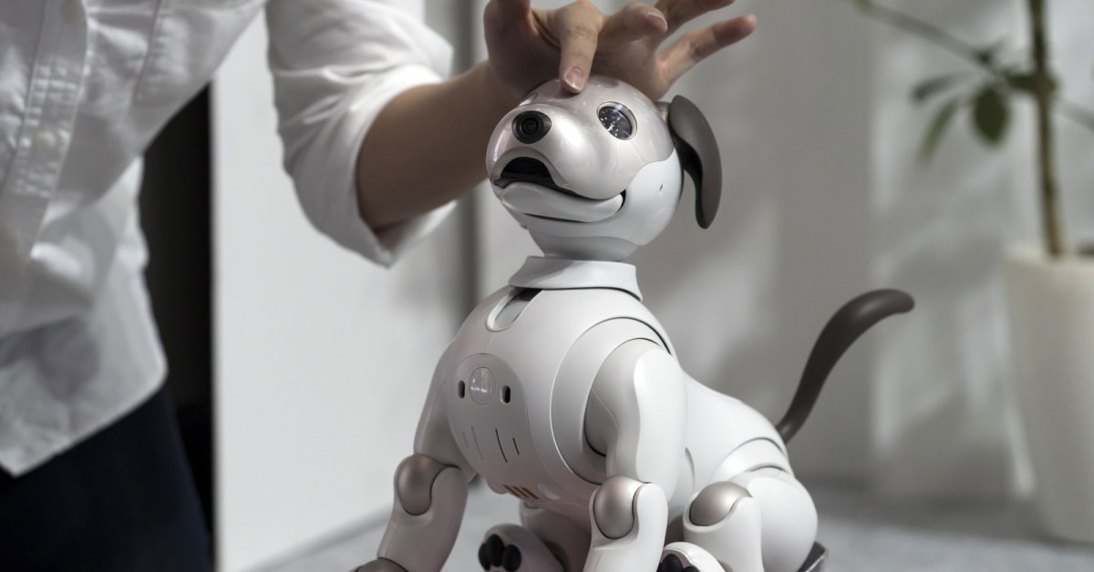 Sony AI Focuses On R&D To Create A Robot Gastronomy