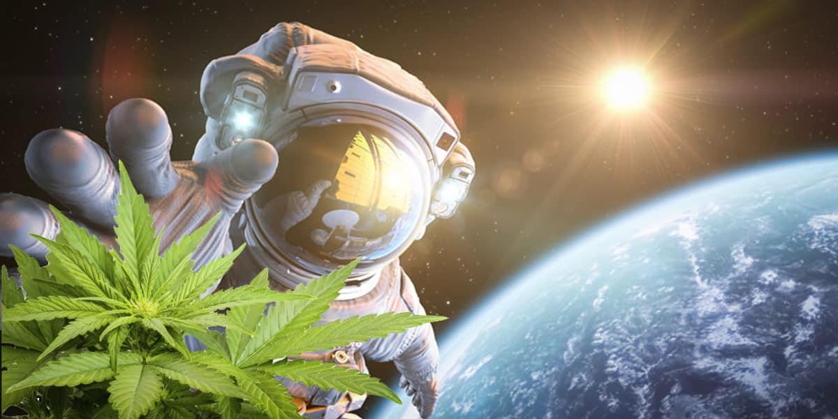 Косяк марихуаны в космосе дрв конопля