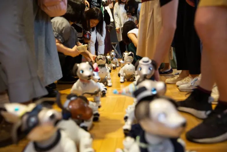 Robot Dogs Can Attend Playdates And Parties At This Café