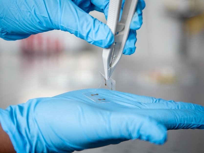 This Touchscreen Is So Thin And Flexible That You Can Roll It Up