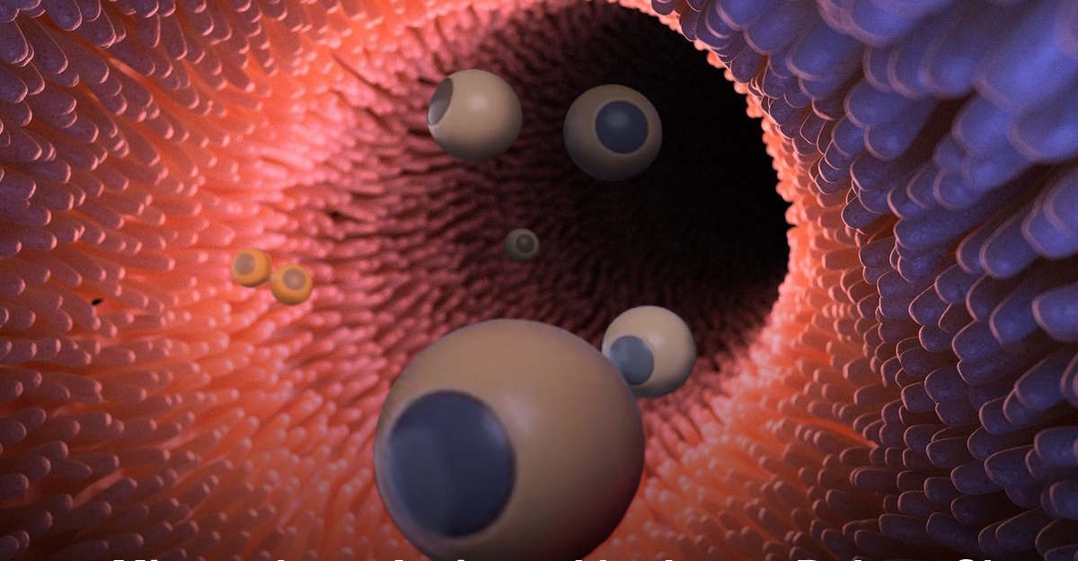 This Microbot Can Treat Damaged Knees From The Inside Of Your Body