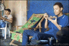 Best Prank Gifs Of The Day