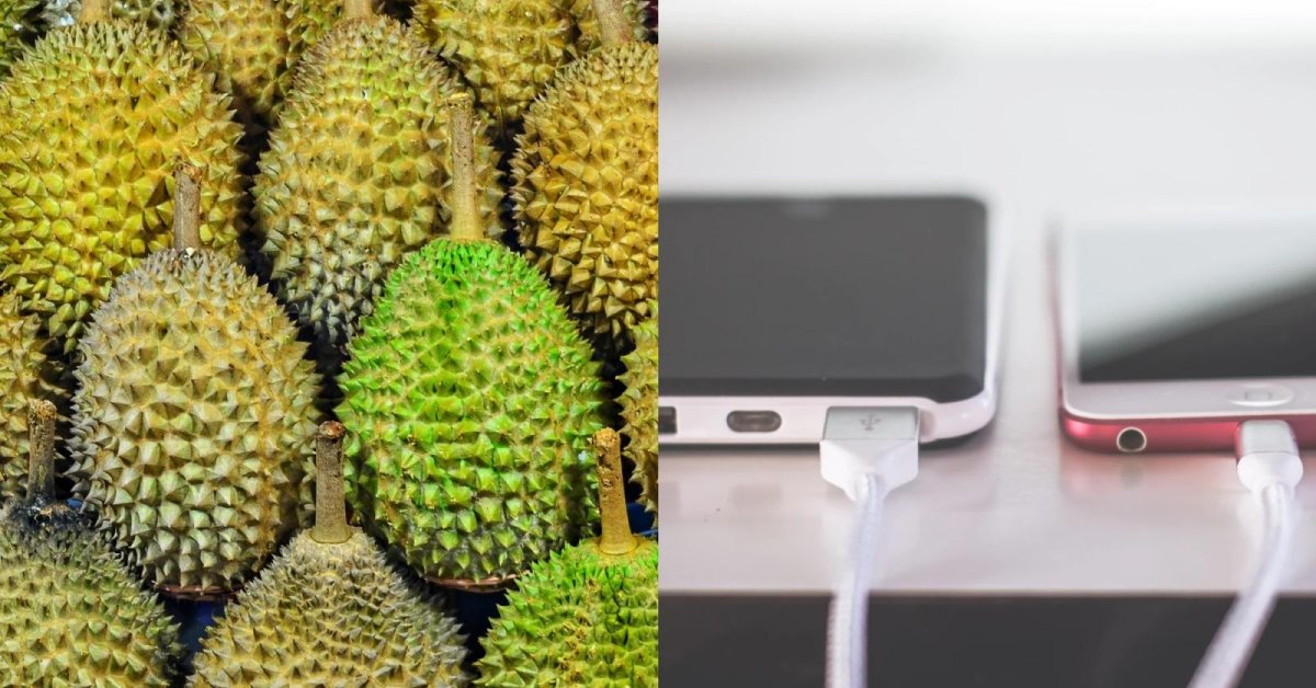 Here Is How You Can Charge Your Phones With The Terribly Pungent Durians