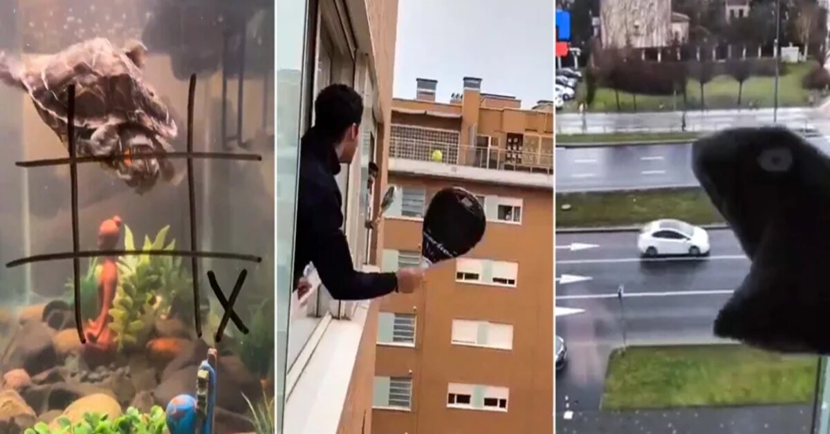 These Hilarious Videos Show What People Do When Having Too Much Free Time In COVID-19 Quarantine