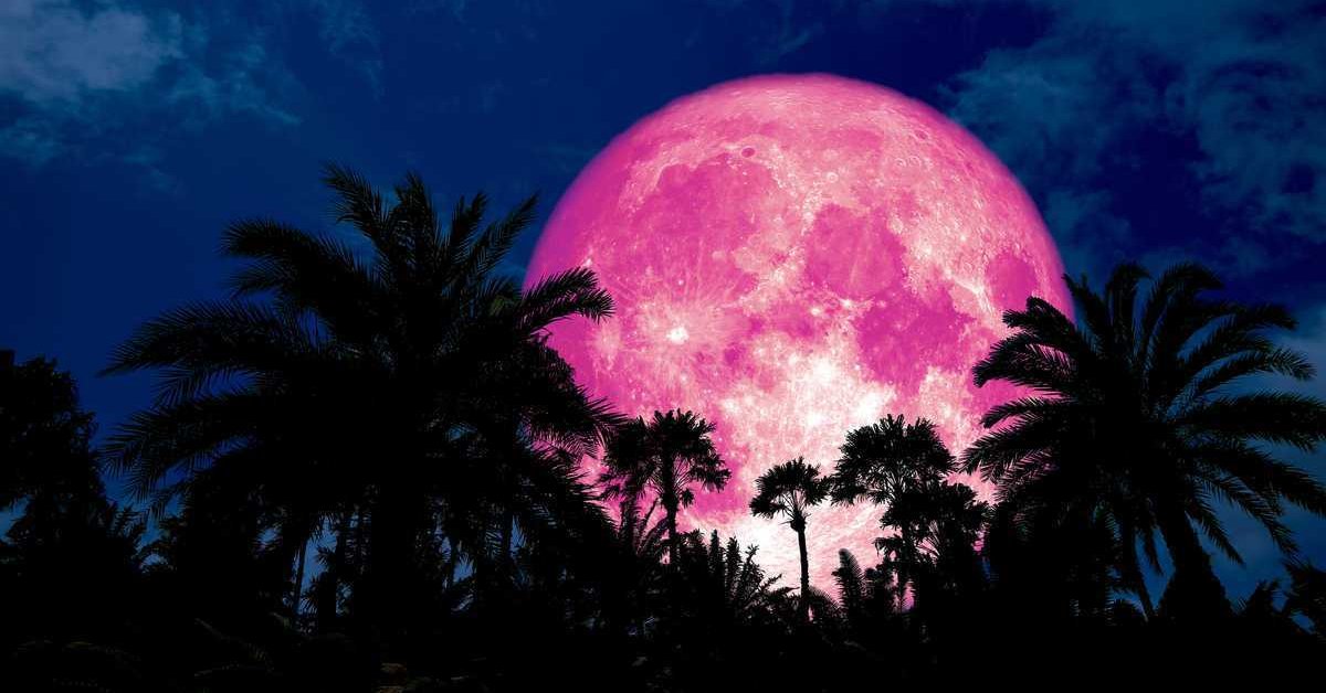 Pink Moon rises overnight tonight! Pink-super-moon-avt-f89d