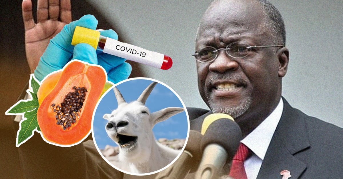 Is It A Joke? Not Human But Papaya Tested Positive With COVID-19 In Tanzania