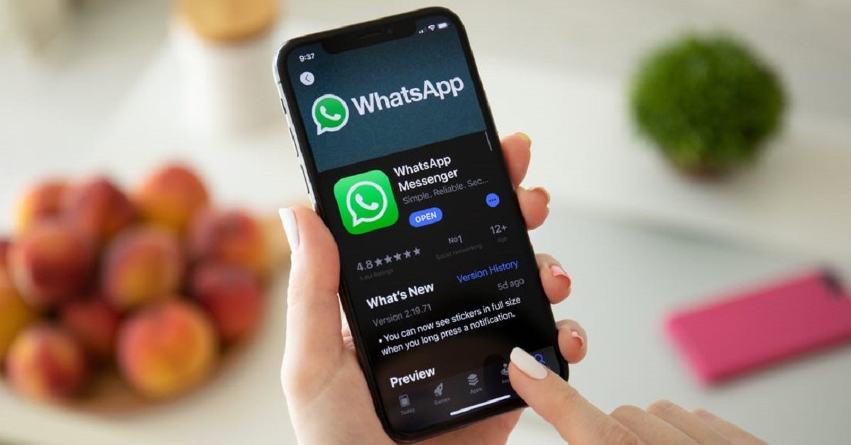 maak je geïrriteerd wereld Opschudding How To Copy Paste WhatsApp Message: Step-By-Step Guidelines - MobyGeek.com