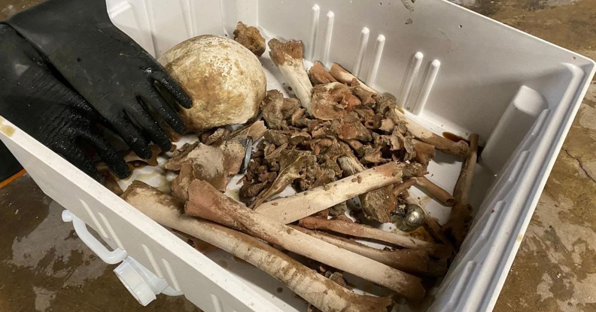 Funeral Directors Are Dissolving Bodies In The Water To Make The Earth Greener