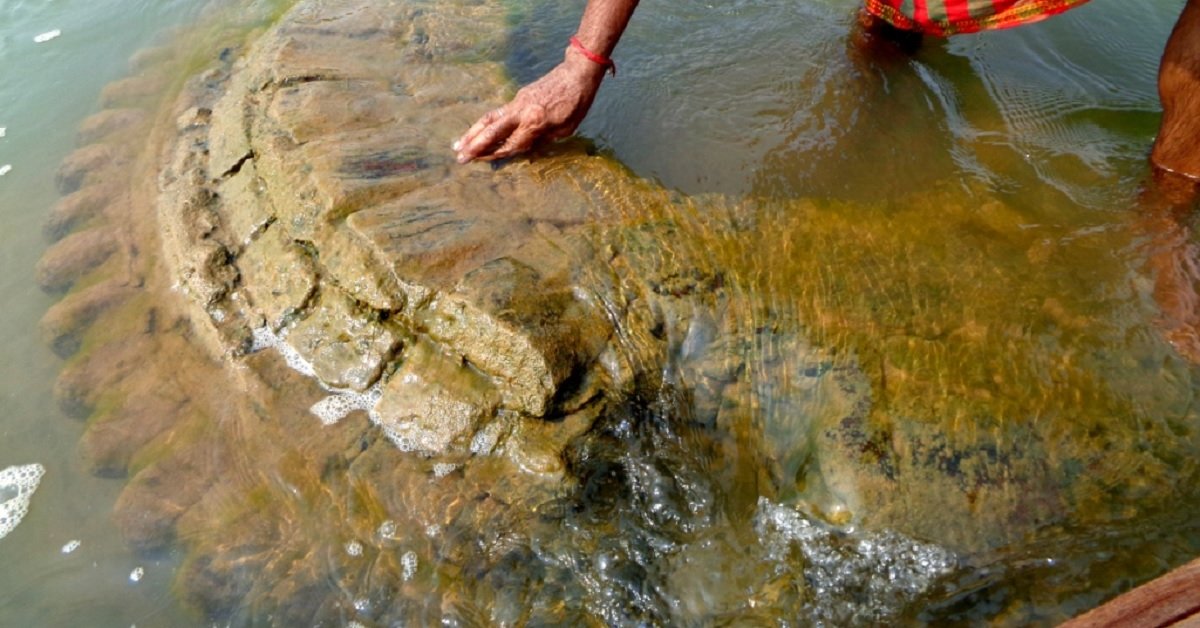 Explorers Discovered A Submerged 500-Year-Old Temple In An Odisha River