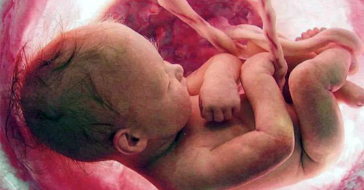 plastic-particles-found-inside-unborn-babies-experts-called-this-a