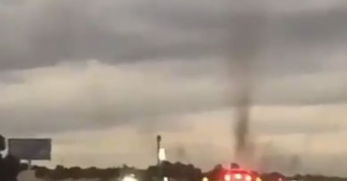 Mosquito 'Tornado' Horrifies Drivers In The Middle Of The Road
