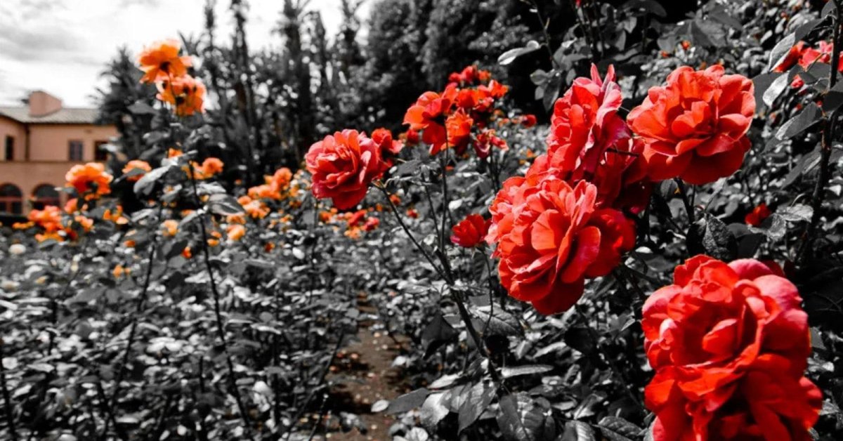 A Math Formula Tells Us How Long Everything Will Live