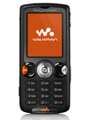 W810