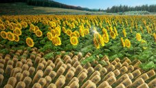 This Material Can Orient Itself Toward The Sun, Thus Enhancing The Efficiency Of Solar Panels