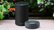 How To Use Spotify And Apple Music On Alexa-Enabled Devices