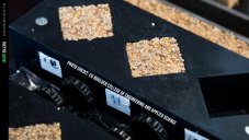 These Living Bricks Can Self-Heal, Absorb CO2, And Multiply