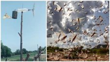 This Genius Machine In Uttar Pradesh Scares Away Locust Swarm, Twitter Was Amazed