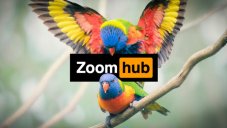 Zoombombers Played Pornhub Videos During Twitter Bitcoin Scam Court Hearing