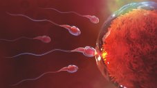 We Misunderstood How Sperm Swims For 340 Years, Here's The Truth