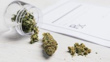 Cannabis-Based Drug Could Treat Side Effects Of COVID-19